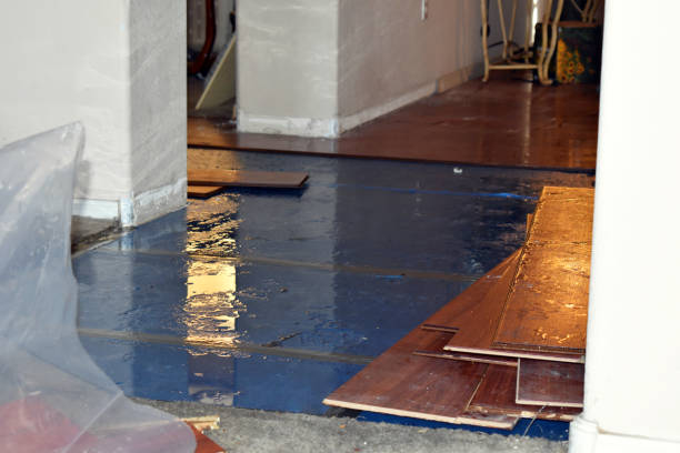 Professional Burst Pipe Cleanup technician working in Marion, MS